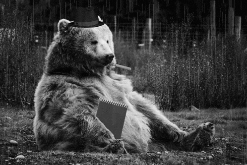 a bear wearing a hat and smoking a cigarette holds a notebook