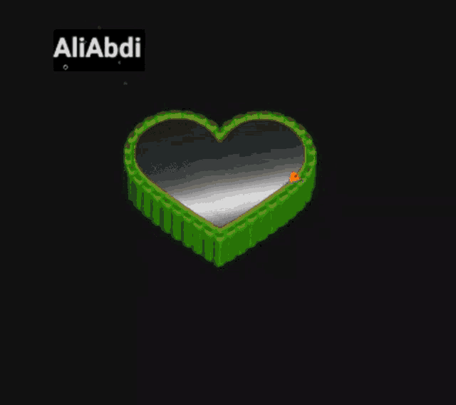 a heart shaped aquarium with two fish and the name aliabdi on the top