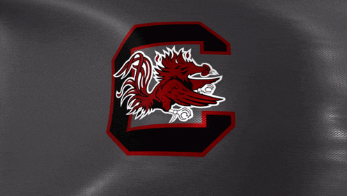 a logo for the university of south carolina is shown on a gray background