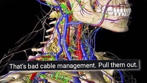 a computer generated image of a person 's neck with the words " that 's bad cable management pull them out " below it