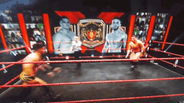 two men are wrestling in a ring with a shield on the wall that says royal rumble