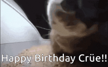 a picture of a cat with the words happy birthday crue written on it