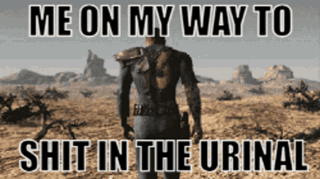 Vault Dweller Meme GIF - Vault Dweller Meme Fallout1 GIFs