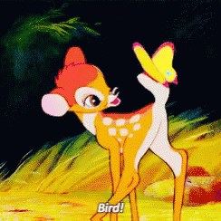 Bambi Bird GIF - Bambi Bird Wrong GIFs