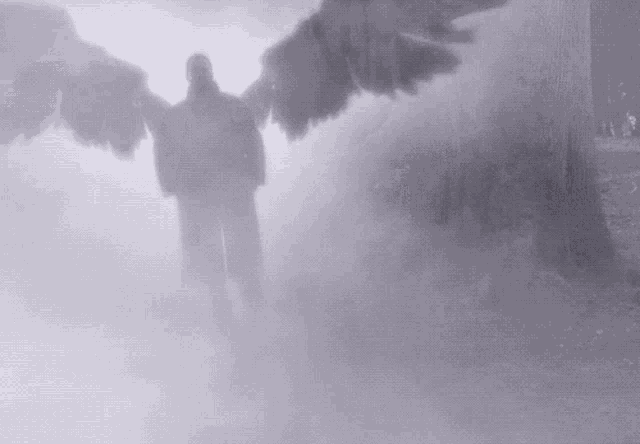 a man with wings is standing in a foggy forest .