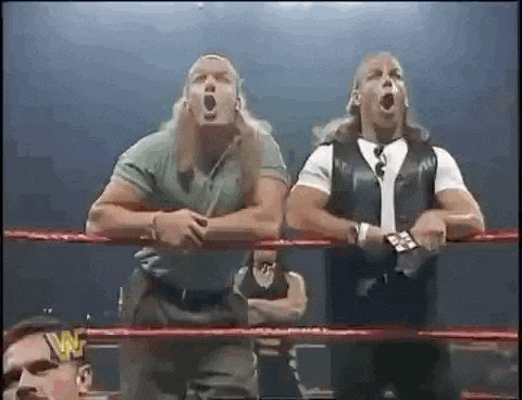 a couple of men are standing in a wrestling ring .