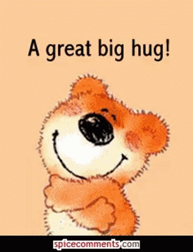 Big Hug Bear GIF - Big Hug Bear Love GIFs