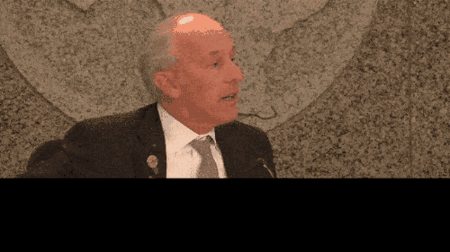 a bald man in a suit and tie speaking into a microphone