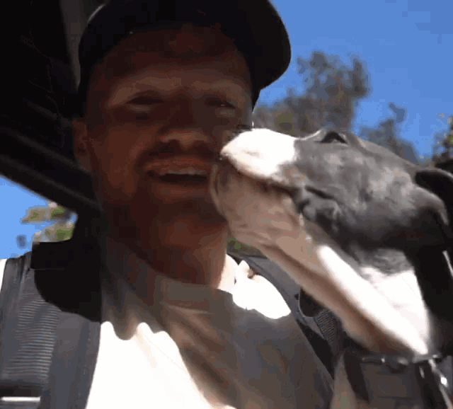 a man is being kissed on the cheek by his dog