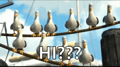 a group of seagulls are standing on a rope with the words hi written on it