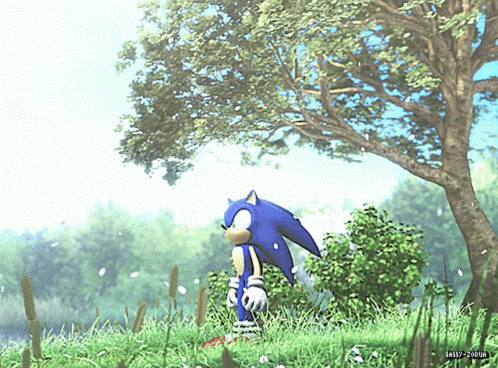 Sonic Sonic06 GIF - Sonic Sonic06 Flowers GIFs