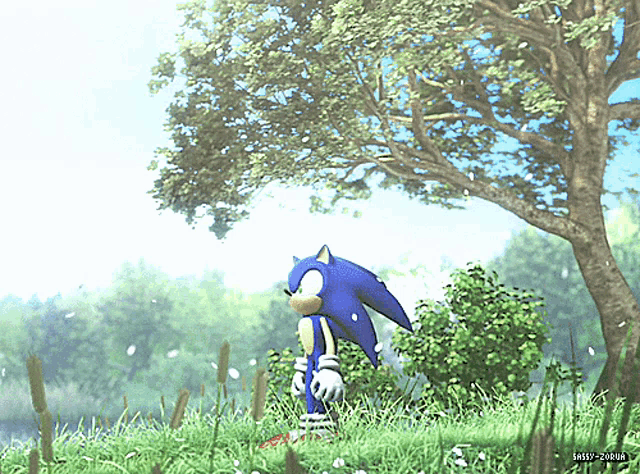 sonic the hedgehog is standing in a grassy field with a tree in the background
