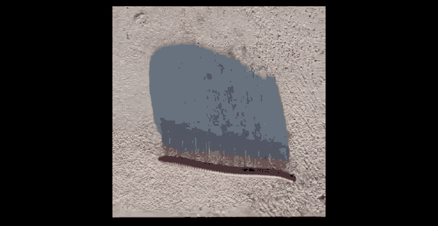 a red worm is crawling on a concrete surface with a shadow on it .