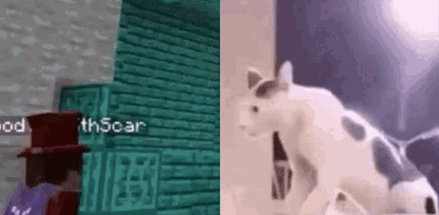 a man in a top hat is standing next to a cat in a minecraft video game .