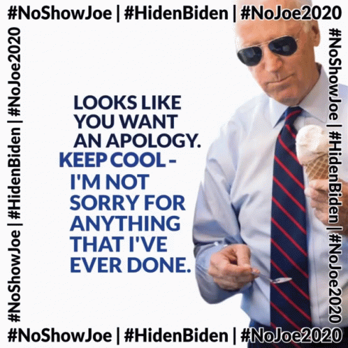 Joe Biden For President Joe2020 GIF - Joe Biden For President Joe2020 Not Sorry GIFs