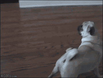 a blurry picture of a person 's face with the website 4gifs.com in the corner