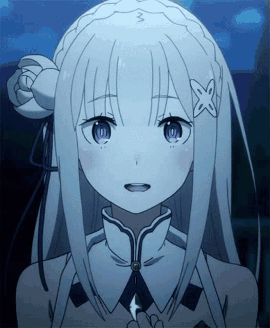 a girl with white hair and purple eyes has a braided bun