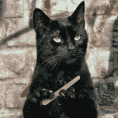 Matrix Cat Run Black GIF - Matrix Cat Run Black GIFs