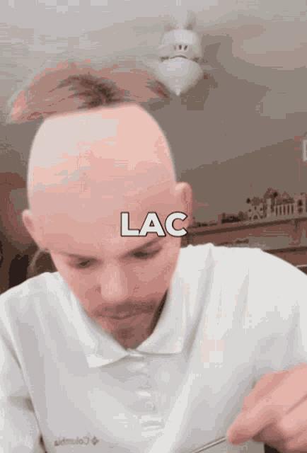 Lac Bald GIF - Lac Bald Chili GIFs