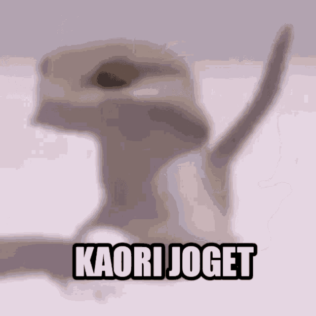 Kaori Joget GIF - Kaori Joget GIFs