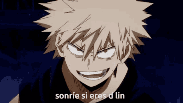 a close up of a cartoon character with the words sonrie si eres d ' lin below him