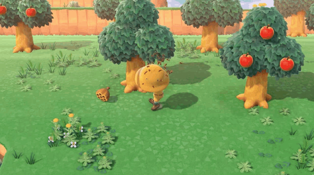 a person in a yellow hat is standing in a grassy area with trees and apples