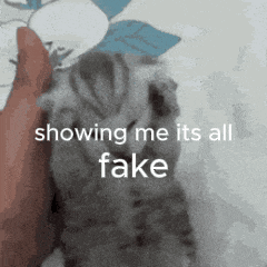 a person is petting a kitten with the words showing me it 's all fake on the bottom .