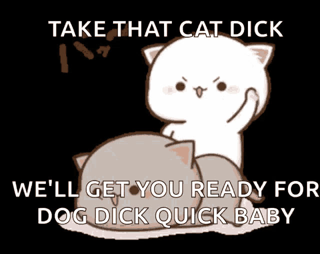 a cartoon cat says take that cat dick and we 'll get you ready for dog dick quick baby