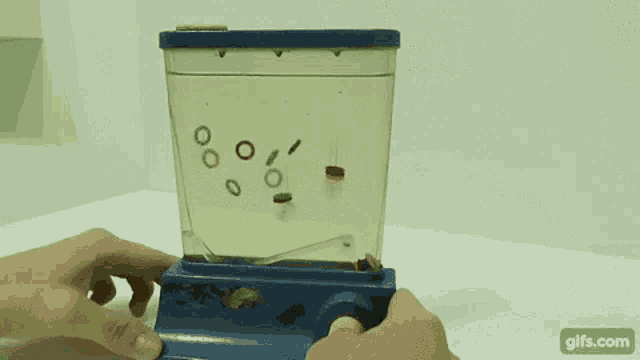 Who Remembers Water Ring Toss GIF - Who Remembers Water Ring Toss Memories GIFs