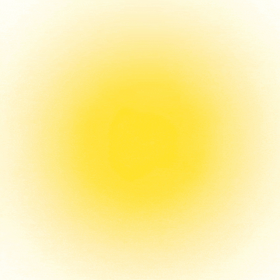 a yellow circle on a white background