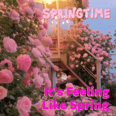 Spring Time GIF - Spring Time GIFs