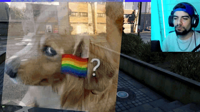 a video game screen shows a dog with a rainbow flag around its neck and a question mark