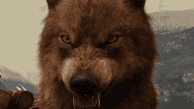 a close up of a wolf 's face with mountains in the background