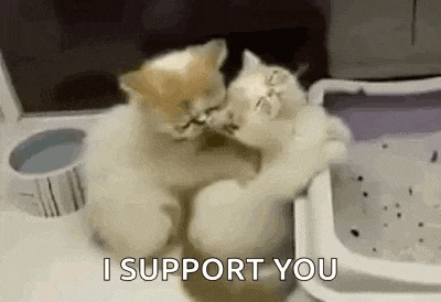 two kittens are hugging each other while sitting next to a litter box .