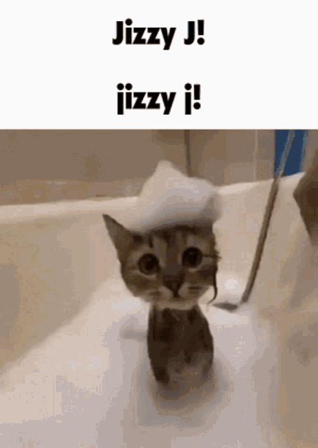 Jizzyj GIF - Jizzyj GIFs
