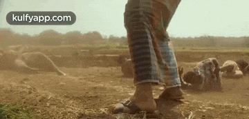 a person is standing in the dirt in a field .
