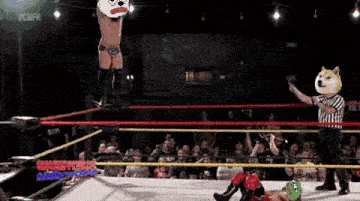 a wrestler with a doge head is jumping over another wrestler in a ring .