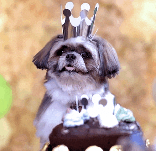 a small dog wearing a paper crown is sitting on a cake