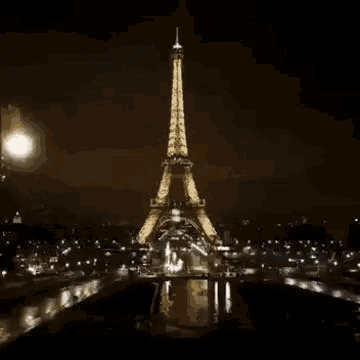 the eiffel tower is lit up at night and says buonanotte a domani .