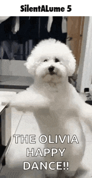 a small white dog is standing on its hind legs and says `` the olivia happy dance ! ''