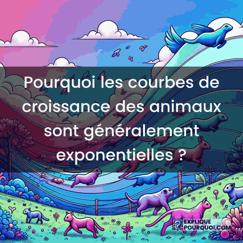 a colorful illustration of animals with the words " pourquoi les courbes de croissance des animaux sont generalement exponentielles "