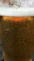 Beer Bubbles GIF - Beer Bubbles Lager GIFs