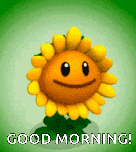 a cartoon sunflower with a face and the words good morning below it