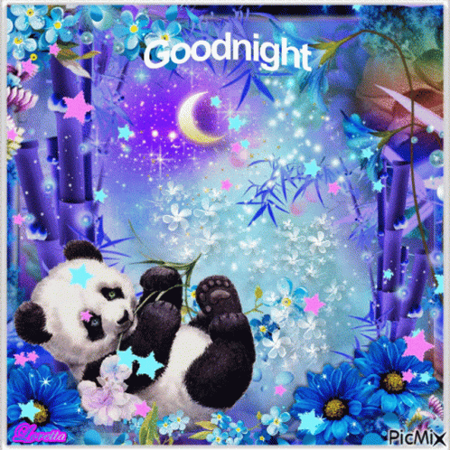 Good Night Panda GIF - Good Night Panda Eat GIFs