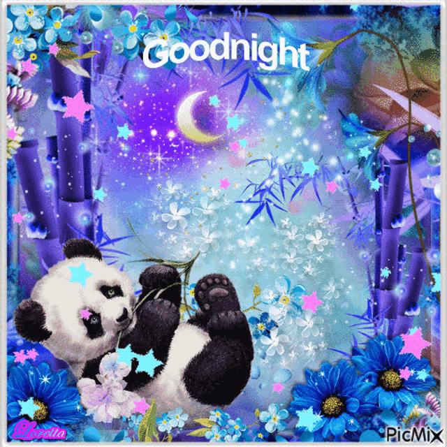a panda bear is laying on its back with the words goodnight written on the bottom
