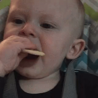 Baby Eating GIF - Baby Eating Biscuit GIFs