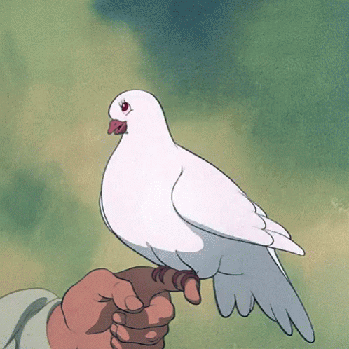 Blushing Dove GIF - Blushing Dove GIFs