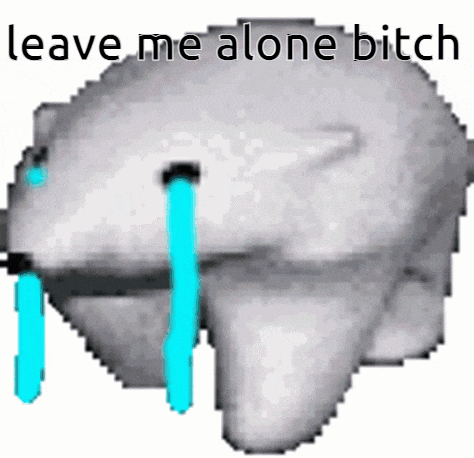 a polar bear is crying with the words leave me alone bitch written below it
