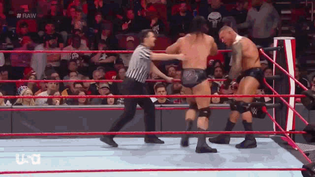 Randy Orton Ouch GIF - Randy Orton Ouch Wrestling GIFs