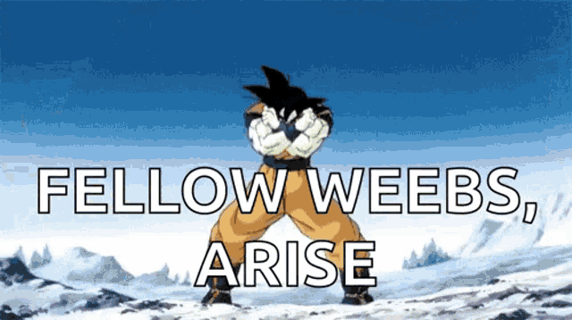 a cartoon character with the words " fellow weebs arise " above him